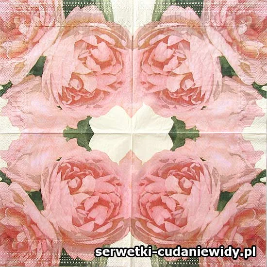 11113 Archiwalny Wzór