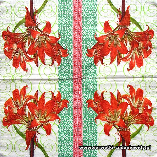 1119 Hollidays Amaryllis