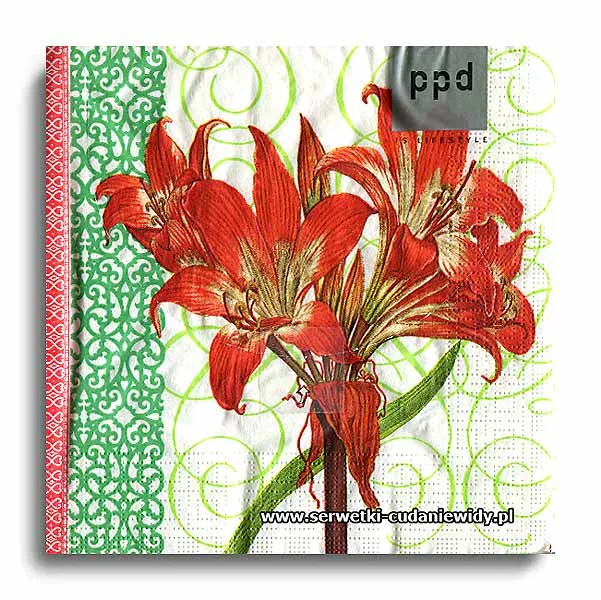 1119PACZKA Hollidays Amaryllis