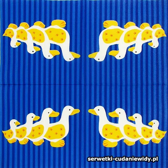 11361 Archiwalny Wzór