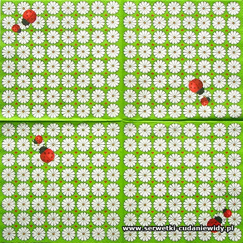 1137 Paper Design