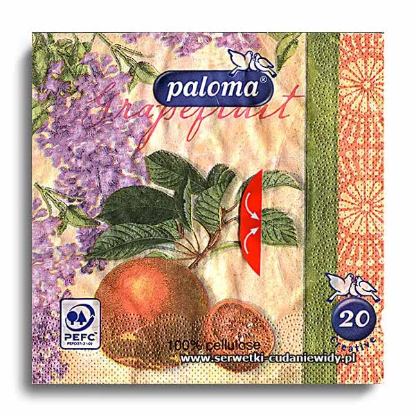 1142PACZKA Paczka Serwetek 20 Sztuk