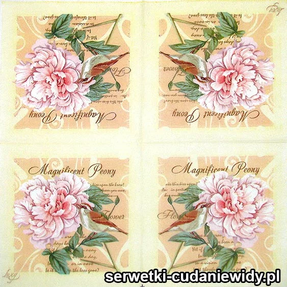 11431 Oryginalny Wzór