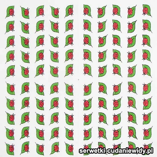 11608 Wzór Unikatowy