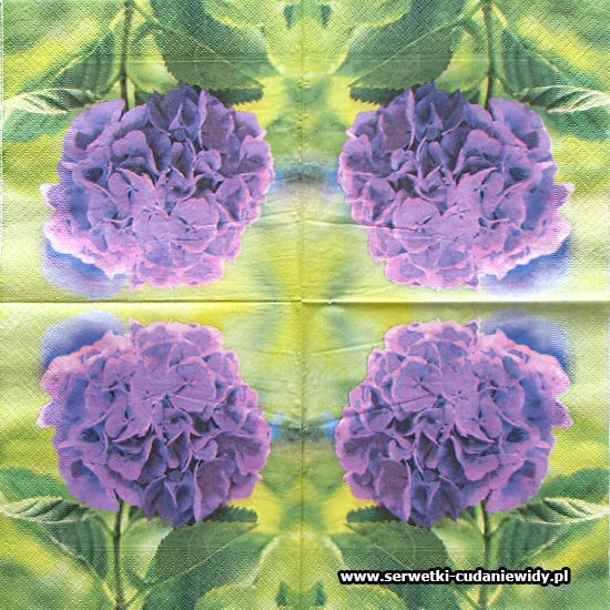 1243 Hortensia Purple