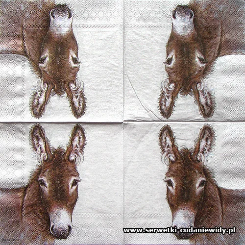 1299 Young Donkey