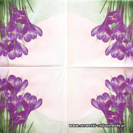 1402 Bunch Of Violet Crocuses