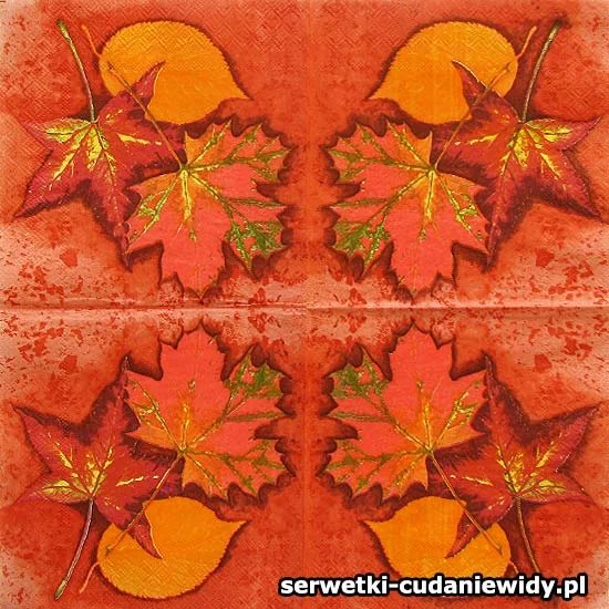 14314 Wzór Archiwalny