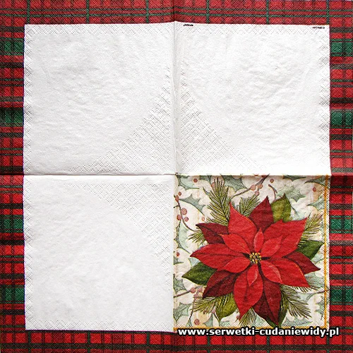 1493 Poinsetia