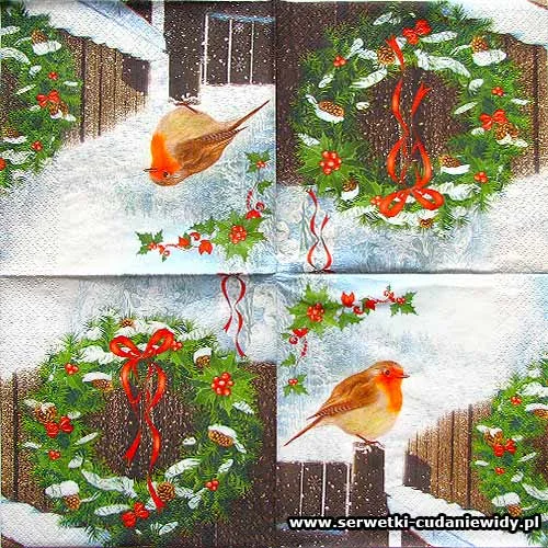 1538 Winter Robin