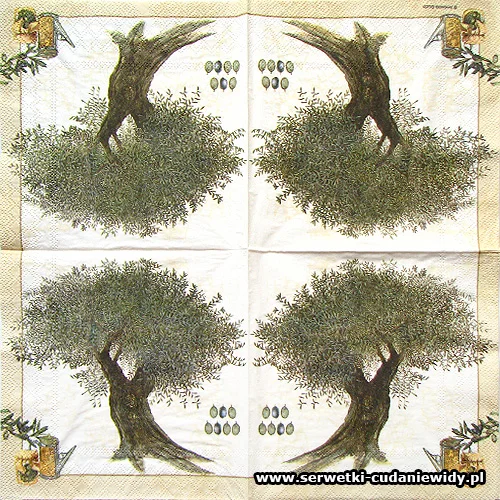 1597 Olive Tree Cream