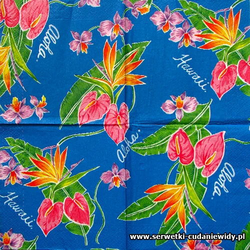 1607 Aloha