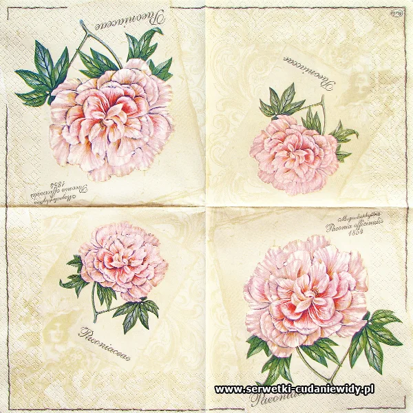 1629 Paeoniaceae