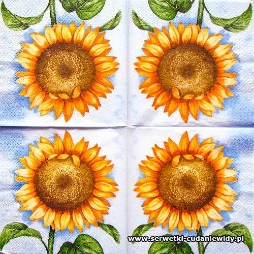 1648 Sunny Blue