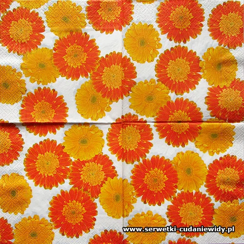 1661 Orange Flowers