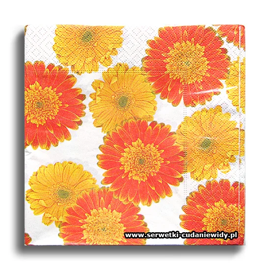 1661PACZKA Orange Flowers