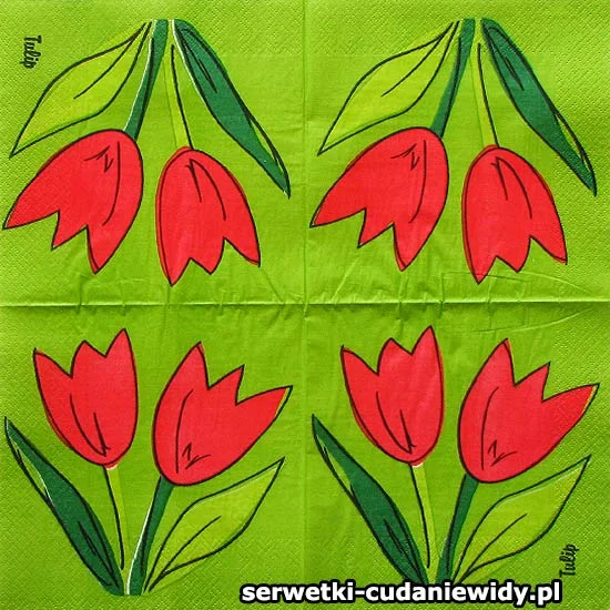 1673 Archiwalny Wzór