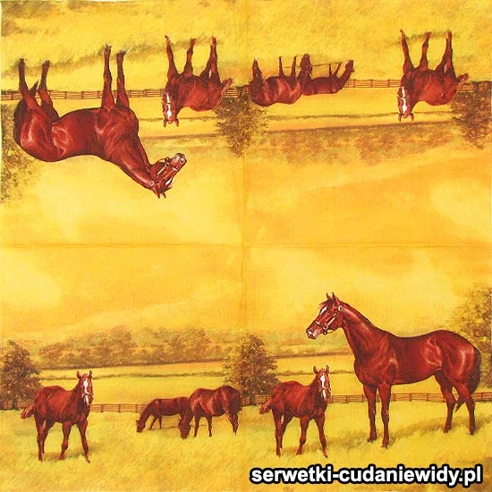 1687 Konia Z Rzędem
