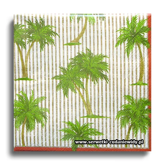 1691PACZKA Hawaii