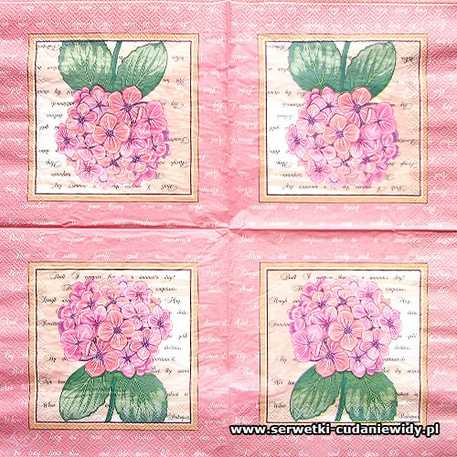1693 Pink Hortensia