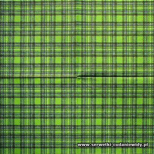 1738 Chequered Pattern Green