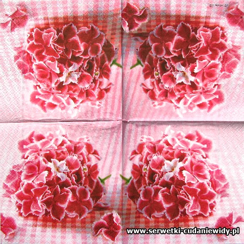 1775 Rose Hortensia