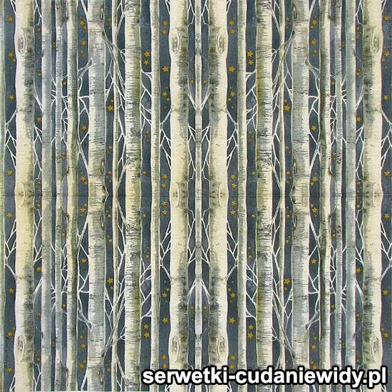 1830 Zimowy Las Brzozowy