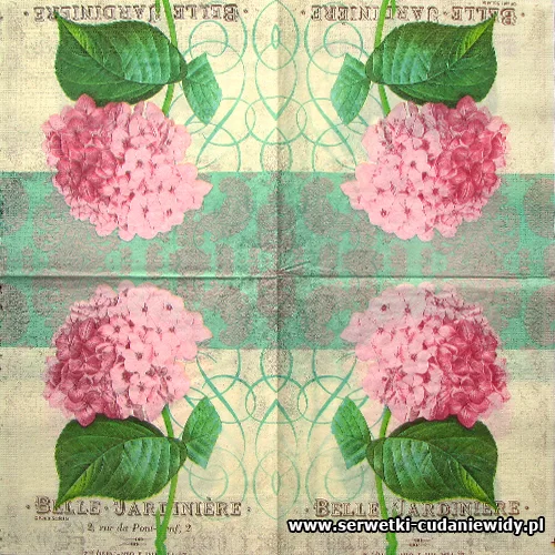 1845 Belle Hydrangea