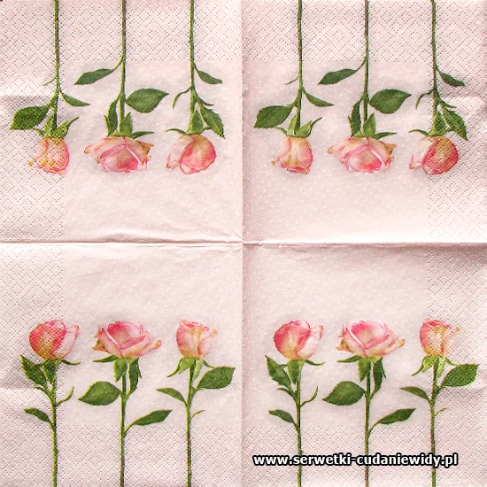 1921 Roses Rose