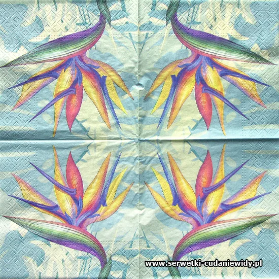 1941 Strelitzia