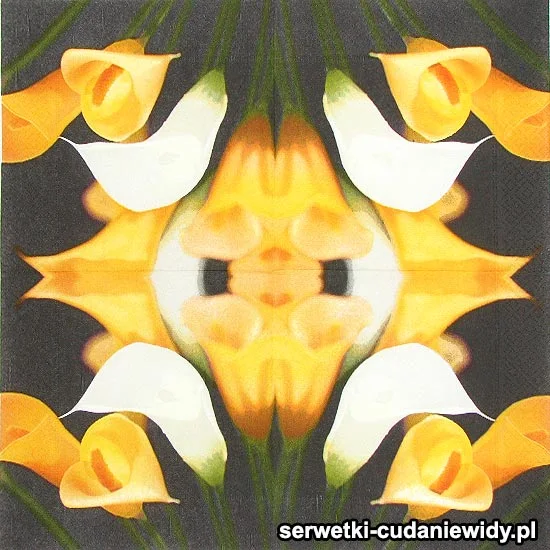 19968 Serwetki Papierowe
