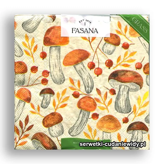 2000PACZKA Prawdziwki