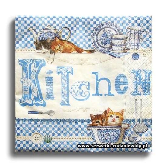 2004PACZKA Blue Kitchen