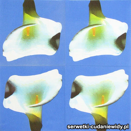 20073 Serwetki Dekoracyjne