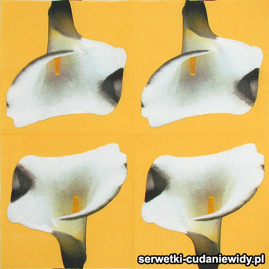 20075 Serwetki Dekoracyjne