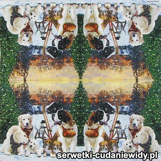 2041 Zimowe Psy