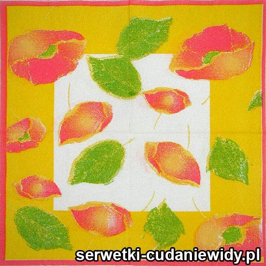 20577 Serwetki Papierowe