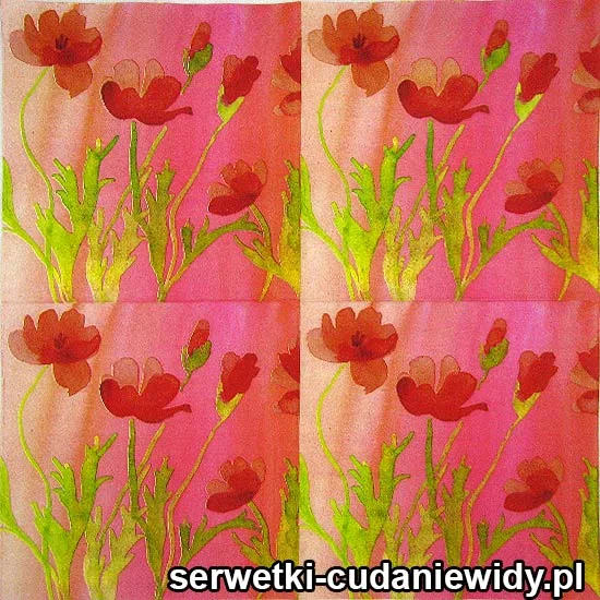 20598 Serwetki Papierowe