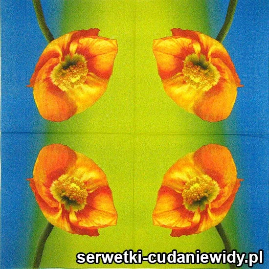 20599 Serwetki Papierowe