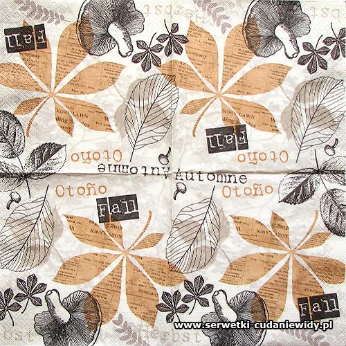 2223 Autumn Collage