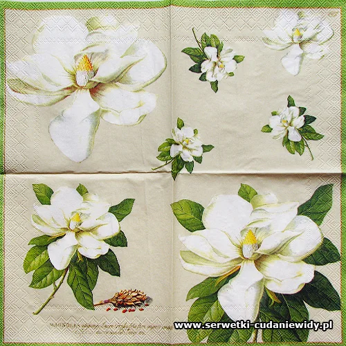 2228 Georg D. Ehret: Magnolia Cream