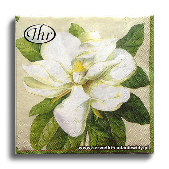 2228PACZKA Georg D. Ehret: Magnolia Cream