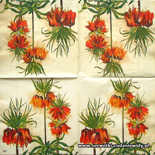 2232 Fritillaria Imperialis