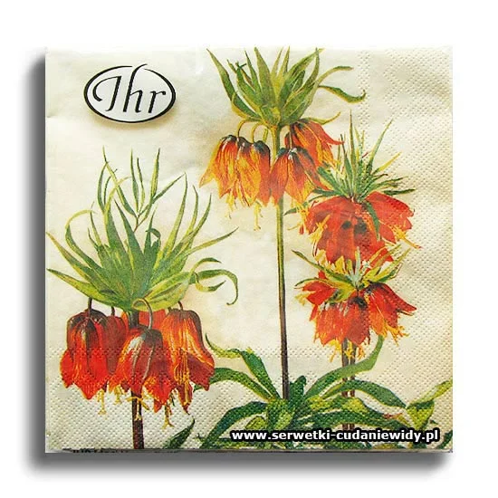 2232PACZKA Fritillaria Imperialis