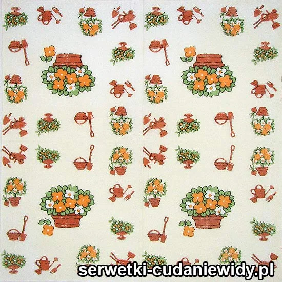 22443 Serwetki Papierowe