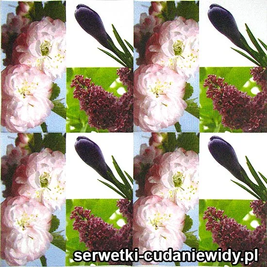 22650 Serwetki Papierowe