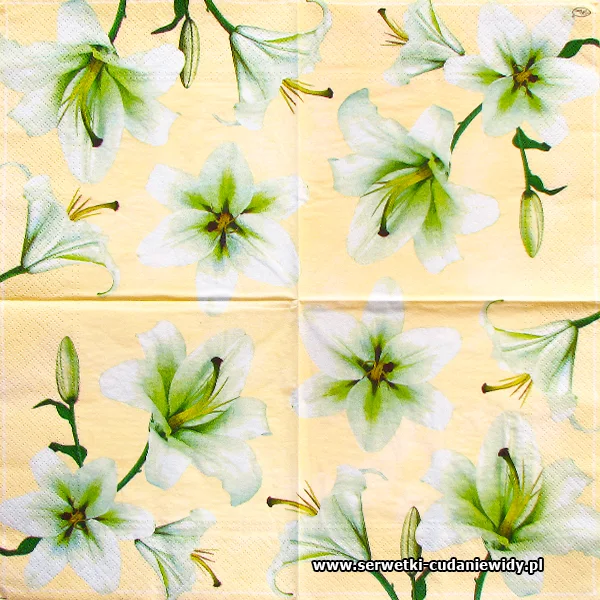2311 White Lilly