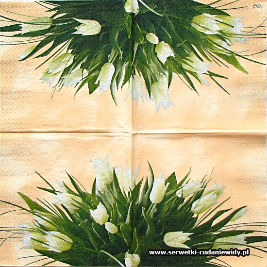 2323 White Tulips