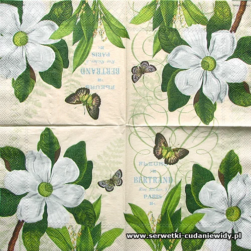 2344 Magnolia Fleurs