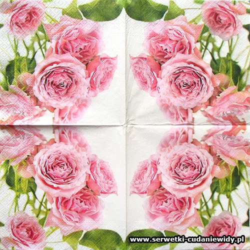 2370 Pink Roses